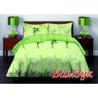 Євро комплект постільної білизни Home Line "Бамбук" 50х70 (кейс) 122933